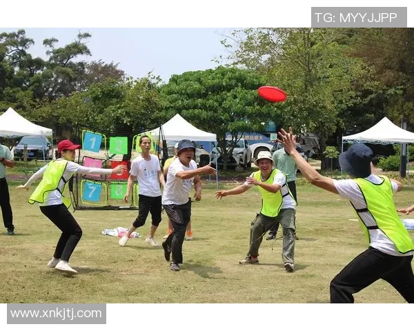 重庆飞盘队如何通过团队协作变革提升竞技水平与凝聚力